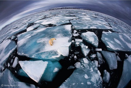 Anna Henly (Reino Unido) tomó esta fotografía desde un barco en el archipiélago de Svalbard, situado en el océano Glacial Ártico. 